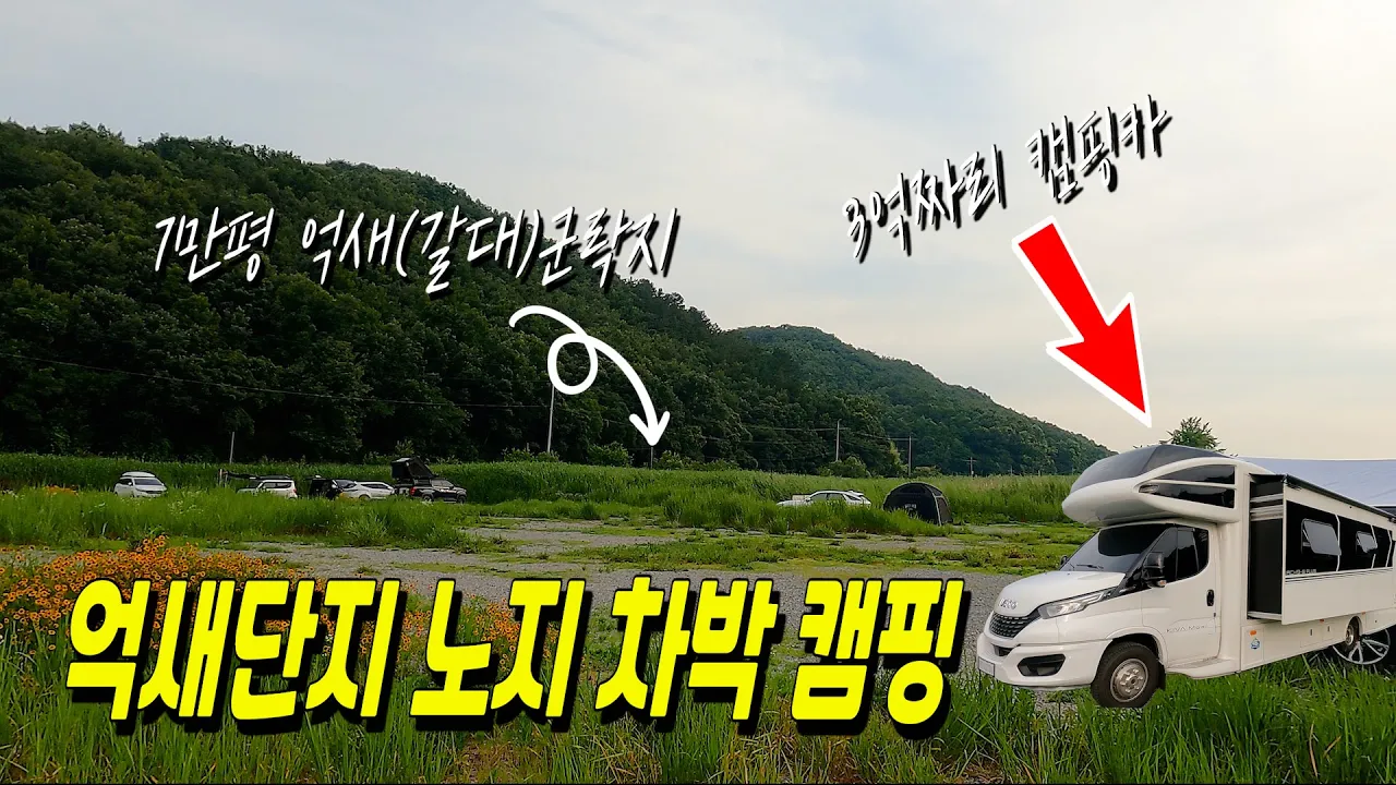 7만 평 갈대밭에서 노지 차박 캠핑을 할 수 있는 곳 | 이곳도 조만간 캠핑의 성지가 될 장소 | 3억짜리 캠핑카 리뷰 썸네일