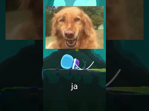 Raúl vs ARAÑA XD #gameplay #puzzle #risas #memes #xd #humor #juegos