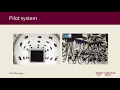 Camera array presentation