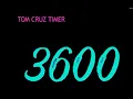 3600Second Countup Timer