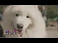Download Lagu SUDS - ALL MY FRIENDS ARE LEAVING TOWN (MUSIC VIDEO)
