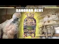 Download Lagu DARI 1983, BIKIN SANGKAR BURUNG SULTAN  ! TAPI GAK KENAL SAMA SEKALI DENGAN BURUNG !