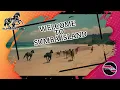 Download Lagu Welcome Sumba Island | Marapu Band
