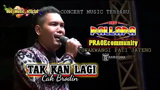 Download TAK KAN LAGI Brodin NEW PALLAPA PUCAKWANGI PRAOE MP3