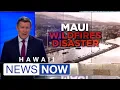 Amid housing crisis Maui commission considers phasing out thousands of vacation rentals