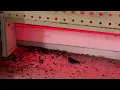 Family Dollar store closes for cleaning after inspector finds rodent droppings throughout store