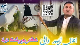 امان الله دالی آوازنده   نوک پنجانگه منیب کفتر یوریشنگ نابلا     دندنها