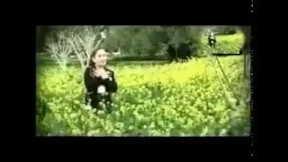 طيور الجنة فداك أبي وأمي 