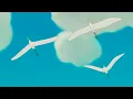 Medo bobo-rubel (Instrumental)