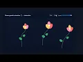 How to design a Flowers Growth Animation Using Html Css JavaScript