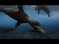 Oxygene - The Ocean