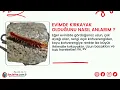 Kırkayak Hakkında Tüm Merak Ettikleriniz | ilaclama.com.tr