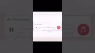 שיחה עם שוטרת סתומה מצחיק רצח 