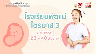 โรงเรียนพ่อแม่ ไตรมาส 3 อายุครรภ์ 28 - 40 สัปดาห์