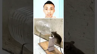 كيفية اصطياد الفئران بطريقة بسيطة 