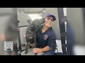 Work Like A Dog The Kibble - Bite-sized Stories from Lee County Domestic Animal Services