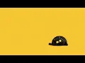 Curious Black Kitty Animated Looping Background 4K - ONLY