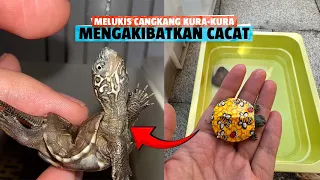 STOP‼ KURA KURA MENJADI CACAT, JIKA KALIAN LAKUKAN HAL INI