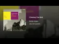 Chasing The Bird