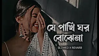 bangla song mp3 download trending