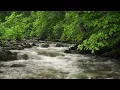 Download Lagu Mountain River Waterfall Flowing 24/7. Water Sounds, Nature White Noise. River Sounds for Sleeping