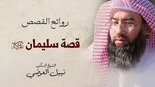 قصة سليمان عليه السلام نبيل العوضي 