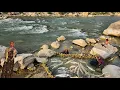 Download Lagu Nomadisch leven: nomadisch meidenavontuur op de rivier 🌊 | Nomadisch vissen en creativiteit 🐟