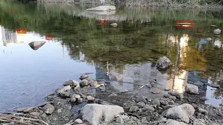 Detect movements with opencv background subtraction