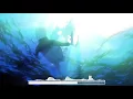 Download Lagu Nightcore - Diver 「NICO Touches the Walls」