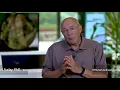 Download Lagu Challenges Facing Today's Farmers - EARTH with John Holden - EARTH With John Holden