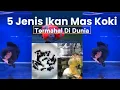 Download Lagu 5 Jenis Ikan Mas Koki Termahal di Dunia, No. 4 Harganya Fantastis!