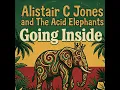 No One Can Tell You (feat. The Acid Elephants)