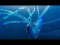 Download Lagu The Deadly Portuguese Man O' War | Blue Planet II | BBC Earth
