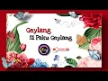 Download Lagu 🔴 LAGU GEYLANG SI PAKU GEYLANG (Lyrics Video)