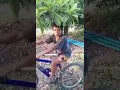 Menino imitando pássaros