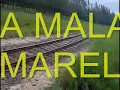A MALA AMARELA