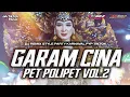 DJ GARAM CINA PET POLIPET VOL.2 - STYLE PARTY KARNAVAL FYP TIKTOK - HYMARLO PROJECT
