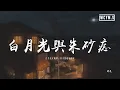 胖虎 - 白月光與朱砂痣「白月光在照耀，你才想起她的好」(可轉伴奏和人聲視頻)【【動態歌詞/pīn yīn gē cí】