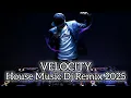Download Lagu DISCO - VELOCITY | House Music Dj Remix VIRAL 2025