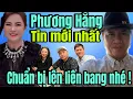 Download Lagu Hốt trọn ổ lên liên bang Phương Hằng nói là làm phen này mấy em khó thoát !