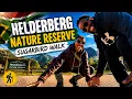 We Found One of Cape Town s Most Beautiful Hikes Helderberg Nature Reserve