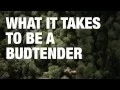 What does it take to be a budtender