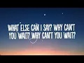 The Chainsmokers, Bob Moses - Why Can't You Wait (Lyrics)