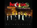 Hechizeros banda- la abeja miope