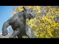 UNH Tour Stop The Wildcat Statue