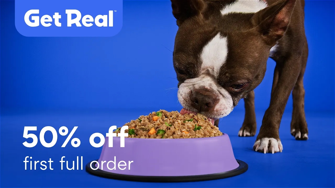 Chewy — Get Real by Chewy — Fresh Dog Food (YouTube video ad)