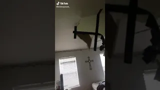 اتاق سوشانت سینگ راجپوت     دندنها