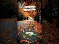 Download Lagu Mimpi tikus pertanda jelek  || Ustadz.Khalid Basalamah || rat dream is a bad omen #shorts