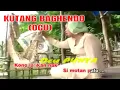 Lagu KUTANG BAGHENDO VERSI OCU