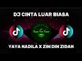 Download Lagu DJ CINTA LUAR BIASA - YAYA NADILA X ZINIDIN ZIDAN (DJ TERBARU FULL BASS VIRAL DI TIKTOK) 